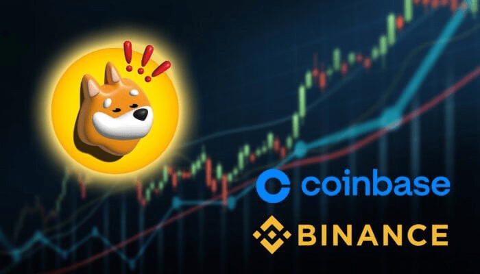 BONK价格在Binance和Coinbase上市后的下一步是什么？