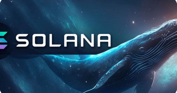 Solana (SOL) 鲸鱼大规模移动，每月价格上涨80%
