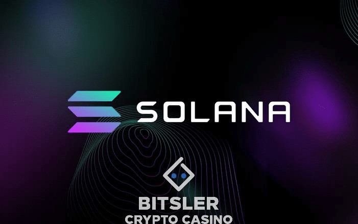 超过 4000 名 Solana 用户因假空投遭受损失