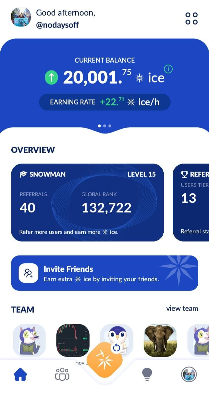 Unleash unlimited growth with Ice Network