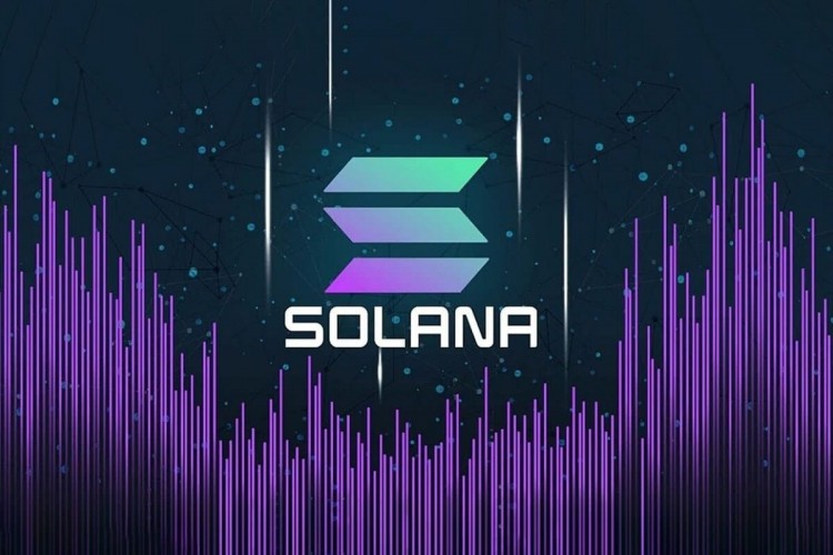 Solana（SOL）再次上涨：以下是您获利的方法