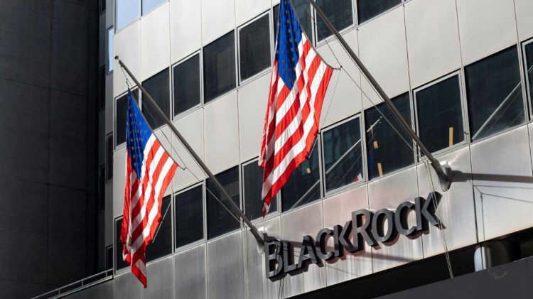 Blackrock 的比特币 ETF 增持最多 12,623 BTC