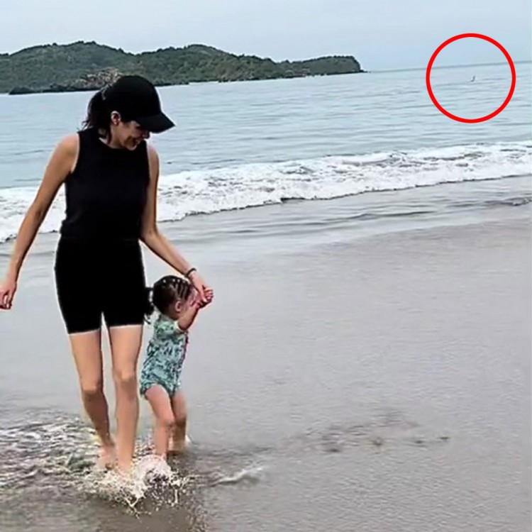 [喜悦]视频意外捕捉到墨西哥度假时致命的鲨鱼袭击