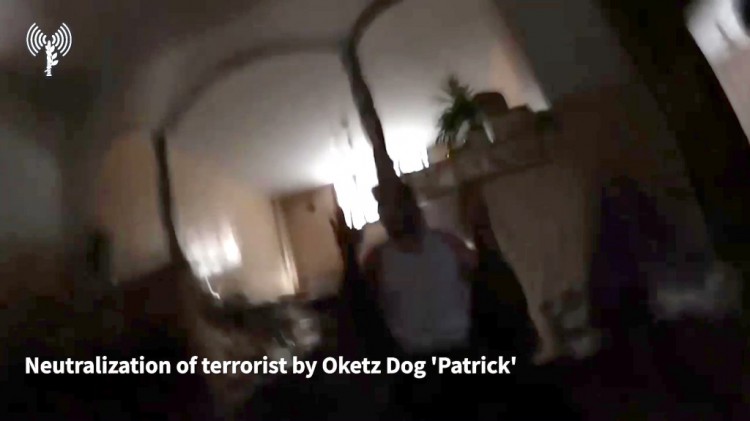 [丽莎]战犬：以色列军犬帮助咬伤哈马斯恐怖分子