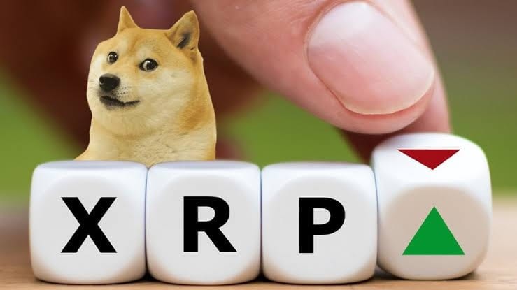 狗狗币创始人回应Ripple CEO：DOGE本质上和BTC是一样的狗狗币挑战Ripple CE