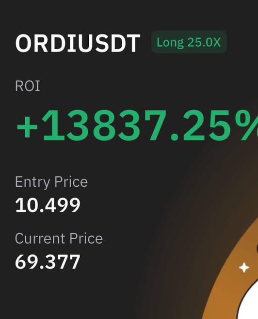HODL 解释，ORDI 可能涨到100美元？