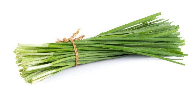 Leek Growth and Protection