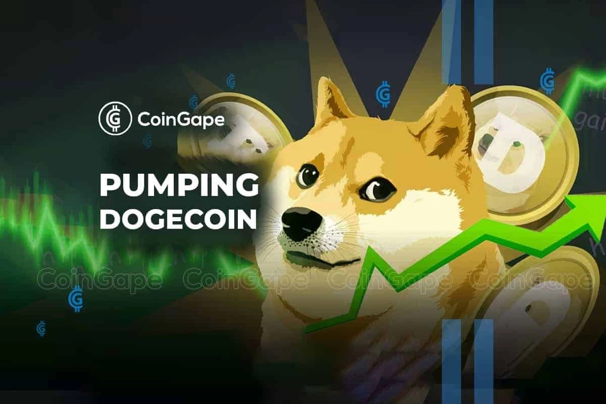 Dogecoin Price Soars 20% with Andrew Kang's Bet On