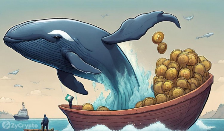 分析师警告称随着鲸鱼抛售<a title='注册并实名送比特币' href='https://okk.meibanla.com/btc/ok.php' target='_blank' class='f_a'>比特币</a>比特币价格将出现大幅调整